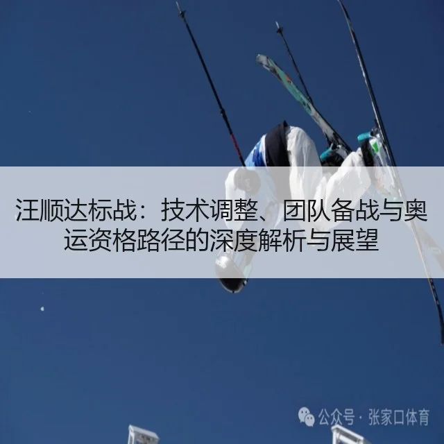 汪顺达标战：技术调整、团队备战与奥运资格路径的深度解析与展望 | kaiyun